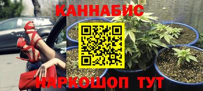 спиды Краснодар