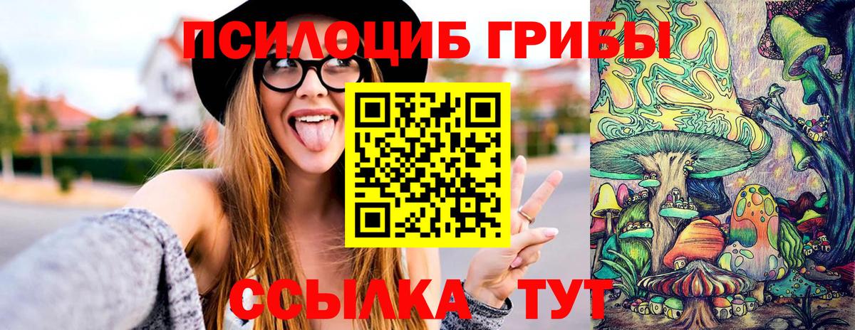 Галлюциногенные грибы Psilocybe  Псилоцибиновые грибы GOLDEN TEACHER  Вход с VPN  Усолье-Сибирское 