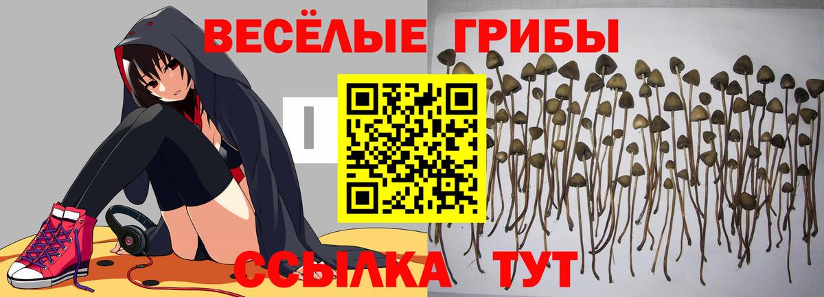 Галлюциногенные грибы Magic Shrooms Усолье-Сибирское